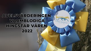 Avelsvärderingen Solvalla våren 2022