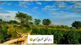 Motorway | Tahir Abbas Ft. Elizabeth Rai | Latest Punjabi Songs 2020 | Zaib Wri8s
