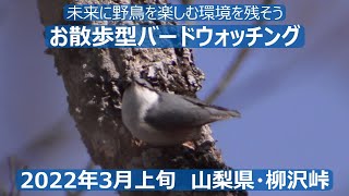 山梨県・柳沢峠でお散歩型バードウォッチング　予想外の景色に驚き！　野鳥解説はあえてありません！