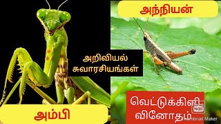 INTERESTING FACTS | INTERESTING FACTS ABOUT LOCUSTS | வெட்டுக்கிளி வினோதம்|Grasshoppers vs Locust|