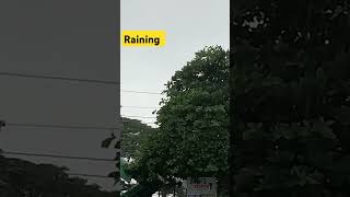 raining ⛈️ #reelsvideo #raining