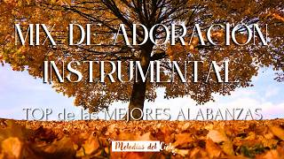 TOP de las MEJORES ALABANZAS - MIX ADORACIÓN para ORAR y MEDITAR - Instrumental 🙏🏻 #piano #violin