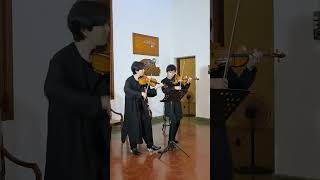 Musisi violin Jepang