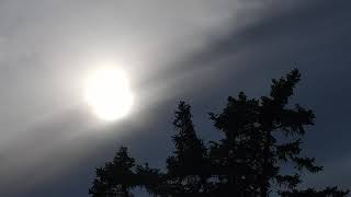 Bright Sun Shines Through The Overcast Evening Sky Over The Tree Top