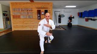 SOLO Training Series - Lift Up  - Classical Technique - Nihon Goshin Aikido