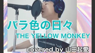 【THE YELLOW MONKEY】バラ色の日々／歌ってみた【KANANDMERA山田起愛】