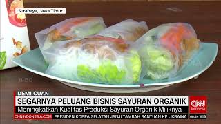 SEGARNYA PELUANG BISNIS SAYURAN ORGANIK | REDAKSI PAGI (16/07/23)