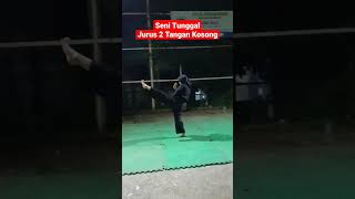 Seni Tunggal Jurus 2 Tangan Kosong #pencaksilat #silat #shorts #short #shortvideo #shortsyoutube