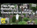 【K】Italy Travel-Bolzano[이탈리아 여행-볼차노]포도밭 옆 공동묘지의 의미/Vineyard Horse Riding/Alps/Mountain/Tyrol