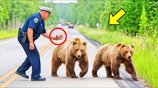 Policeman Helps Bear Family Cross the Road, What Happens Next Leaves Everyone Stunned...