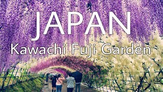 Kawachi Fujien Garden - JAPAN | TRAVEL lust