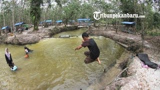 Asiknya Wisata ke kawasan Sungai Hijau Desa Salo, Kampar, Riau