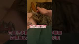 每天抱着小猫睡觉多幸福啊，到底谁还没有生出小猫~它真的好像个小宝宝 这是我一手养大的猫 我把我的猫养大啦