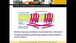 Electron Transport Chain ATP Synthesis