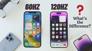 iPhone 14 Pro/Pro Max: How to Turn ON/OFF 120Hz Pro Motion Refresh Rate! [DISPLA