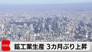 3月の鉱工業生産指数　3カ月ぶりの上昇（2024年4月30日）