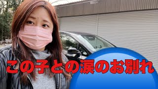 冷やかしは危険⚠️