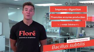 Microbe Moments: Bacillus subtilis | Sun Genomics