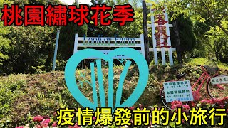 2021桃園繡球花季︱繡球花種植教學大公開︱枕頭山農莊︱祿客農莊︱中興花卉農場