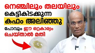 നെഞ്ചിലും തലയിലും കെട്ടികിടക്കുന്ന കഫം അലിഞ്ഞു പോവും ഈ ഒറ്റകാര്യം ചെയ്താൽ മതി |