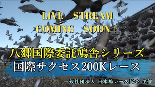 2025年度「八郷国際サクセス200Kレース」ライブ配信！（アーカイブ）