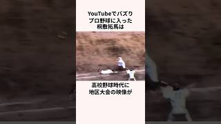 「YouTubeでバズり プロ野球に入った」桐敷拓馬に関する雑学　#プロ野球 #野球解説 #阪神タイガース