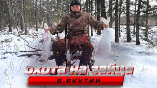 ОХОТА НА ЗАЙЦА В ЯКУТИИ. Тропление зайца по первому снегу. Куьунну куобах. 2024.