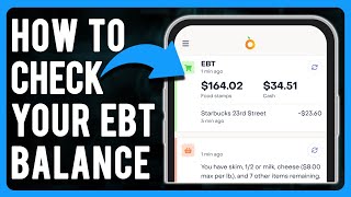 How to Check Your EBT Balance (Do I Have EBT Cash Benefits?)