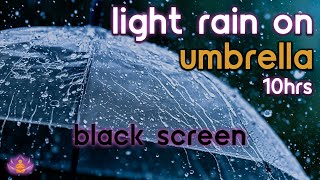 [Black Screen] Light Rain on Umbrella No Thunder | Rain Sounds for Sleeping