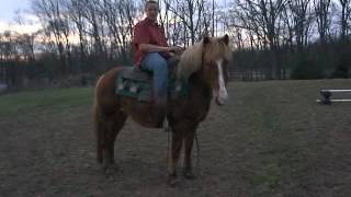 M4V06745.MP4