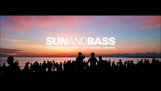 Philth B2B Bredren B2B Flipper - MC Mota @ Sun and Bass 2015