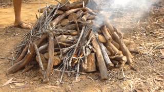 Effect of pottery in terra preta