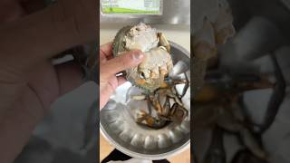 ജീവനുള്ള ഞണ്ടിനെ തൊട്ടിട്ടുണ്ടോ 🦀🥹#crab #crabrecipes #shortvideo