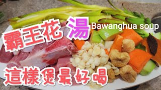 霸王花湯這樣煲最好喝 Bawanghua soup