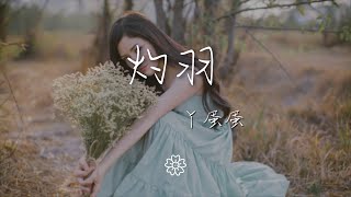 丫蛋蛋 - 灼羽『飛鳥在泥淖中尋魚的蹤跡』【動態歌詞Lyrics】