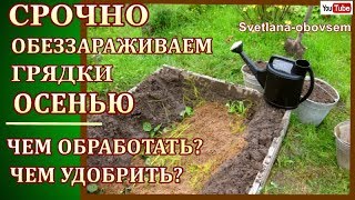 ЧЕМ ОБЕЗЗАРАЗИТЬ ПОЧВУ ОСЕНЬЮ ОТ БОЛЕЗНЕТВОРНЫХ ГРИБКОВ ПОСЛЕ СБОРА УРОЖАЯ,ЧЕМ УДОБРИТЬ ГРЯДКИ?