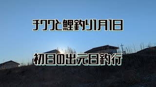 チワワと鯉釣り1月1日(初日の出元日釣行)