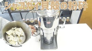 [貝殻の加工]小型粉砕機でシャコガイ貝殻を粉砕（ハイスピードミル）