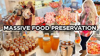 MASSIVE FOOD PRESERVATION Home Canning 580 Pounds of MARATHON COOKING Compilation!!