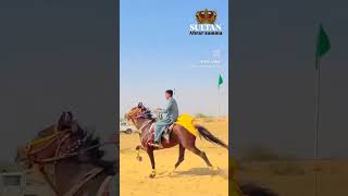 horse video  #horse #youtube #horselover #horseracing#sort  #youtubeshorts #fyp #foryou #short