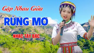 Gặp Nhau Giữa Rừng Mơ - Giai Điệu Nhạc Tây Bắc Thánh Thót Giữa Núi Đồi Nghe Cực Thích - Ngọc Khánh