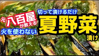 夏にピッタリ！火を使わない！切って漬けるだけ【夏野菜漬け】旨味・酸味・塩味の3要素を分解した秘伝漬けダレの紹介！