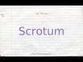 How to pronounce scrotum