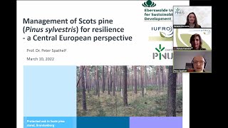 Webinar Management of Scots Pine (𝘗𝘪𝘯𝘶𝘴 𝘚𝘺𝘭𝘷𝘦𝘴𝘵𝘳𝘪𝘴) for Resilience - A Central European perspective