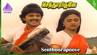 Senthoora Poove Movie Songs | Senthoora Poove Video Song | Ramki | Nirosha | Vijayakanth | Sripriya