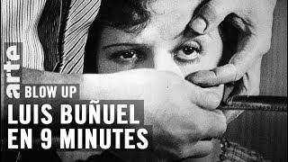 Luis Bunuel en 9 minutes - Blow Up - ARTE