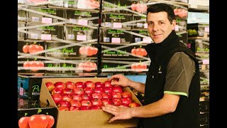 Focus on quality at new Prima Fresh packhouse