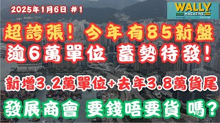 超誇張！2025年，85個新盤＋6萬單位來襲，樓市壓力再升溫！發展商或進入「要錢唔要貨」時代｜邊個揸最多貨揸幾多貨？樓價將迎新一輪調整？