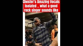 Chester’s Voice #linkinpark #voice #singer #singing #chesterbennington #numetal #rock #band #live