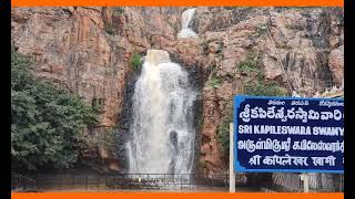 తిరుపతి కపిల తీర్థం జలపాతం, Tirupati Kapila Theertham Water Falls, TML 0034